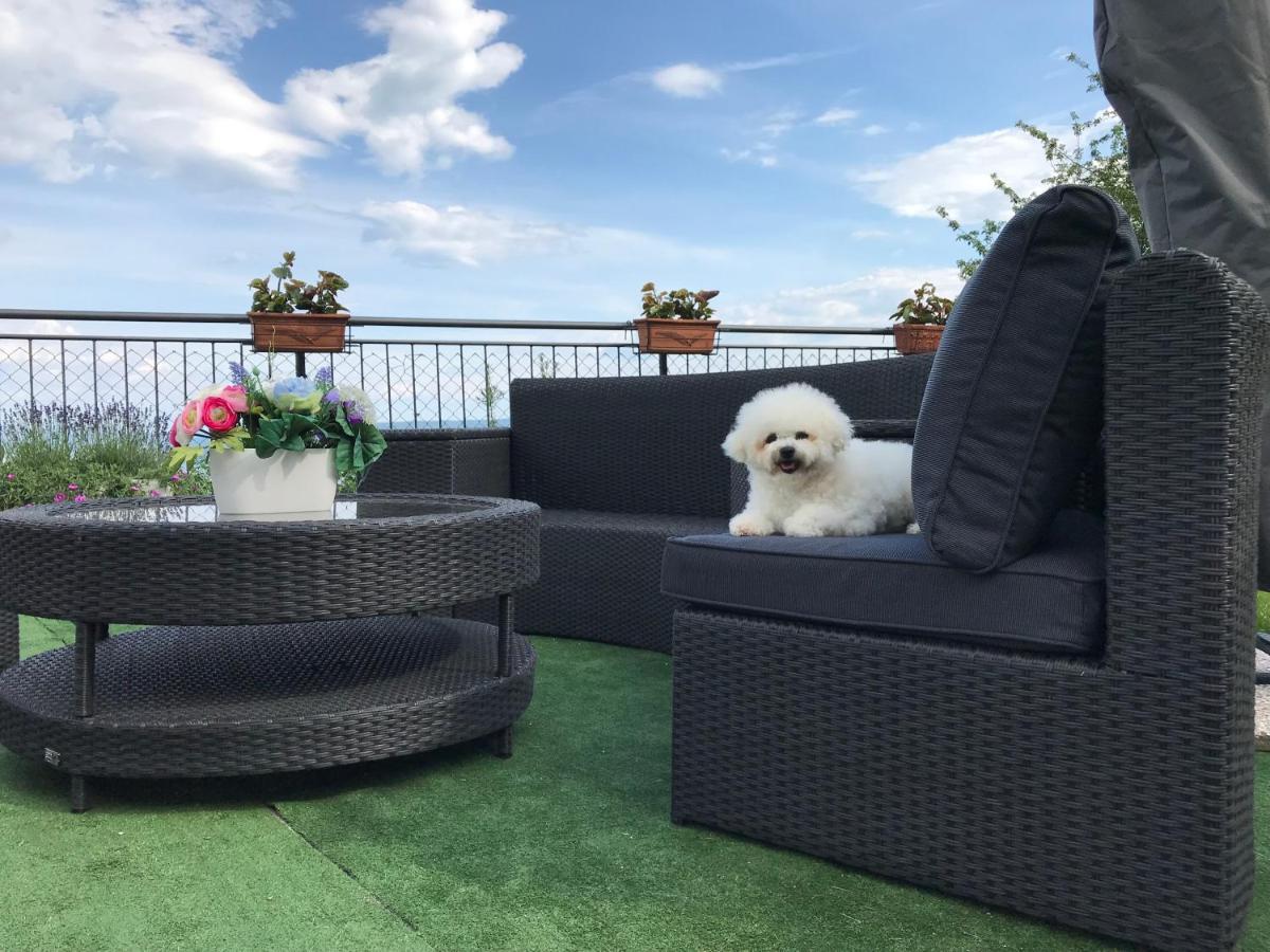Apartman Nicole Mošćenička Draga 외부 사진